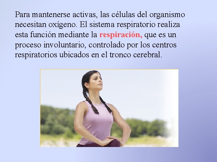 Para mantenerse activas, las células del organismo necesitan oxígeno. El sistema respiratorio realiza esta Para mantenerse activas, las células del organismo necesitan oxígeno. El sistema respiratorio realiza esta