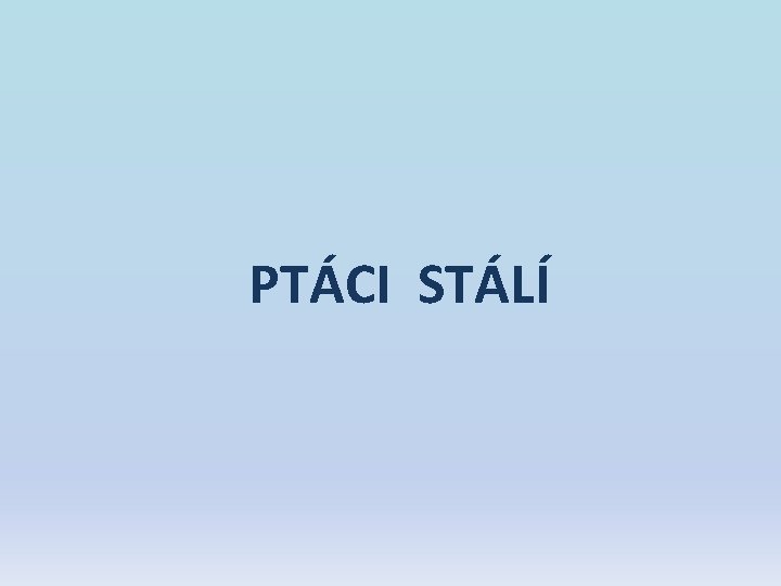 PTÁCI STÁLÍ PTÁCI STÁLÍ