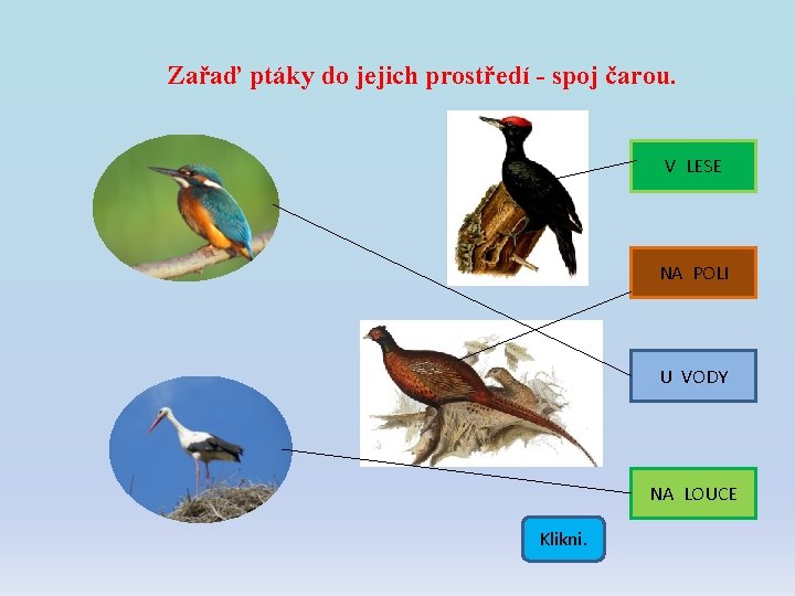 Zařaď ptáky do jejich prostředí - spoj čarou. V LESE NA POLI U VODY Zařaď ptáky do jejich prostředí - spoj čarou. V LESE NA POLI U VODY