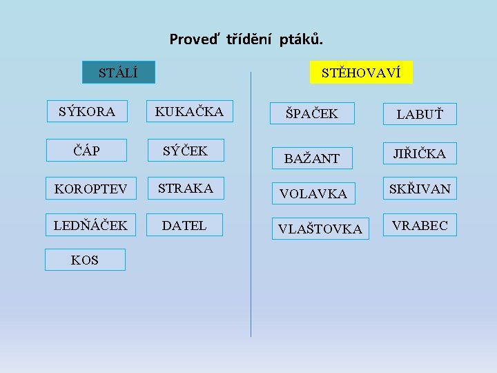 Proveď třídění ptáků. STÁLÍ STĚHOVAVÍ SÝKORA KUKAČKA ČÁP SÝČEK ŠPAČEK LABUŤ BAŽANT JIŘIČKA KOROPTEV Proveď třídění ptáků. STÁLÍ STĚHOVAVÍ SÝKORA KUKAČKA ČÁP SÝČEK ŠPAČEK LABUŤ BAŽANT JIŘIČKA KOROPTEV