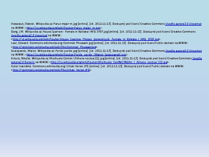 Staszczuk, Sławek. Wikipedia. cz: Parus major m. jpg [online]. [cit. 2011 -11 -13]. Dostupný