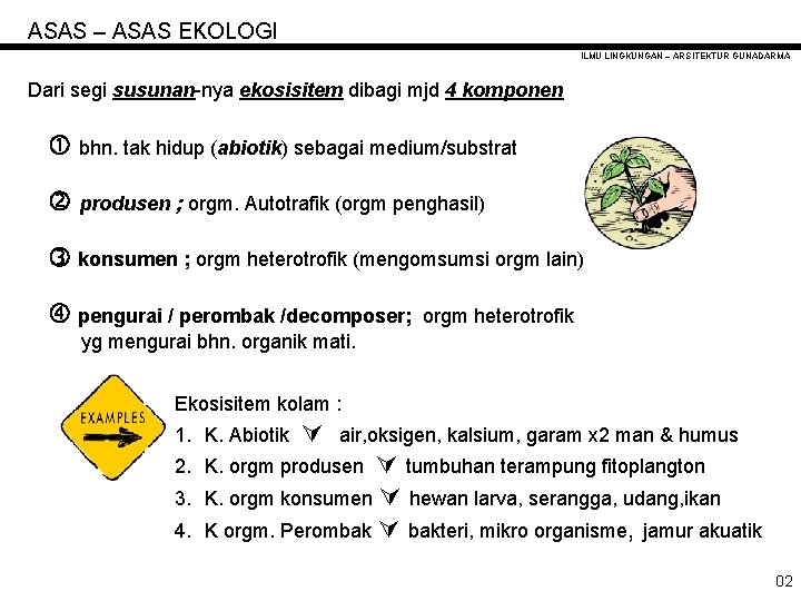 ASAS – ASAS EKOLOGI ILMU LINGKUNGAN – ARSITEKTUR GUNADARMA Dari segi susunan-nya ekosisitem dibagi