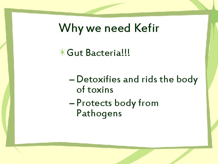 Why we need Kefir Gut Bacteria!!! – Detoxifies and rids the body of toxins