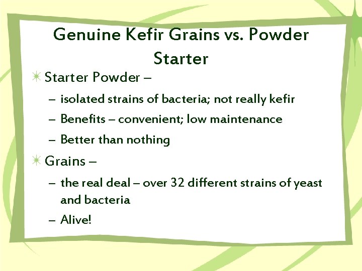 Genuine Kefir Grains vs. Powder Starter Powder – – isolated strains of bacteria; not