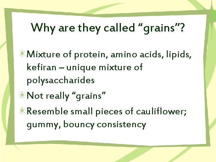 Why are they called “grains”? Mixture of protein, amino acids, lipids, kefiran – unique
