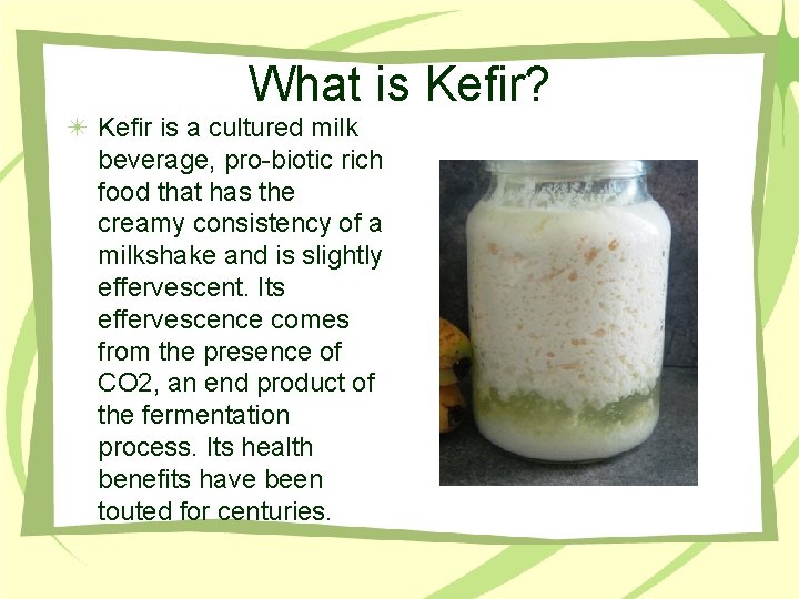 What is Kefir? Kefir is a cultured milk beverage, pro-biotic rich food that has