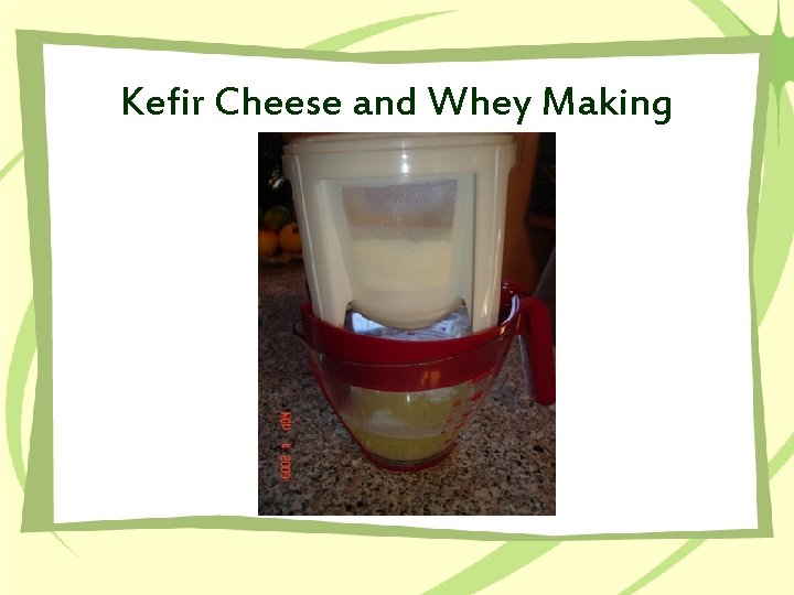 Kefir Cheese and Whey Making 