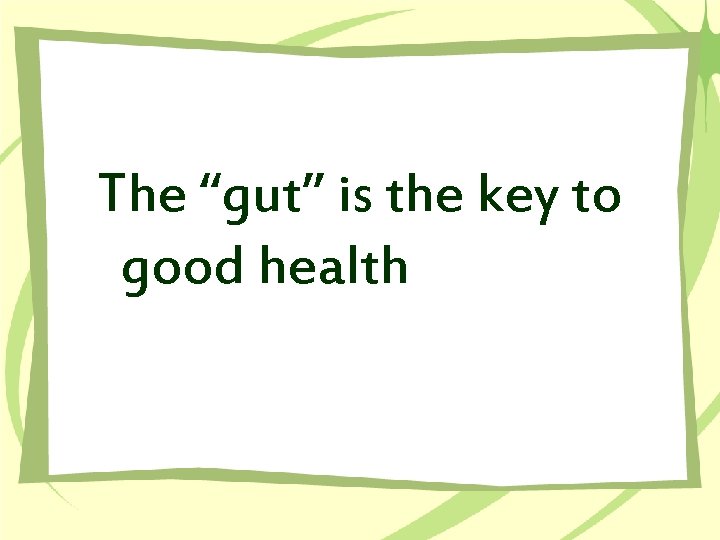 The “gut” is the key to good health 