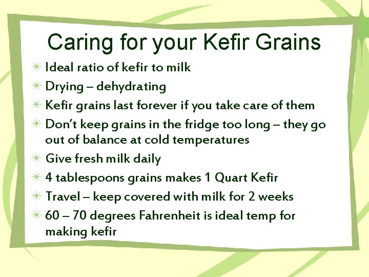 Caring for your Kefir Grains Ideal ratio of kefir to milk Drying – dehydrating