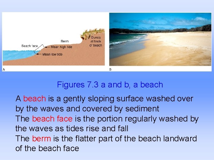 Figures 7. 3 a and b, a beach A beach is a gently sloping