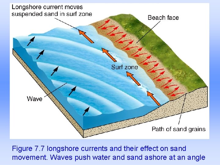 Figure 7. 7 longshore currents and their effect on sand movement. Waves push water