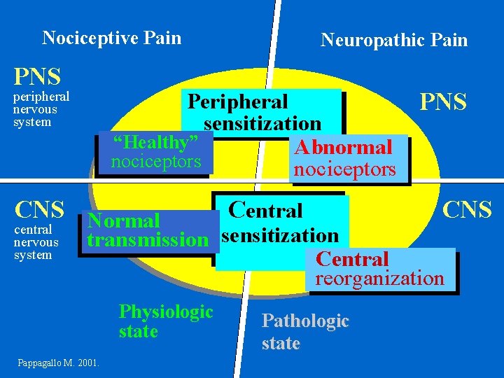 Nociceptive Pain PNS Peripheral PNS sensitization “Healthy” Abnormal nociceptors peripheral nervous system CNS Normal
