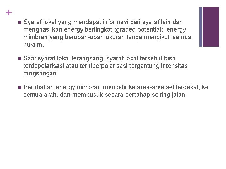 + n Syaraf lokal yang mendapat informasi dari syaraf lain dan menghasilkan energy bertingkat