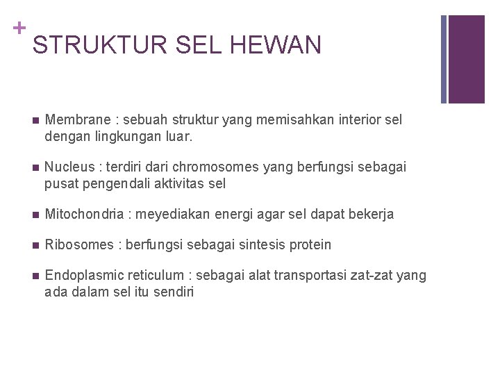 + STRUKTUR SEL HEWAN n Membrane : sebuah struktur yang memisahkan interior sel dengan