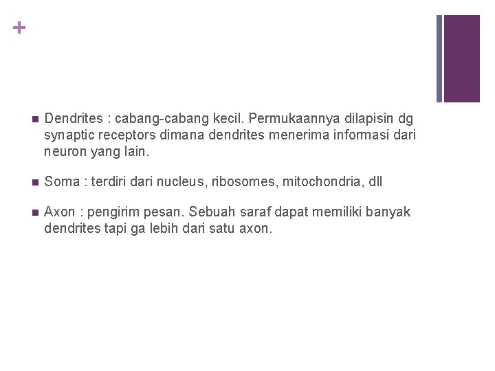 + n Dendrites : cabang-cabang kecil. Permukaannya dilapisin dg synaptic receptors dimana dendrites menerima
