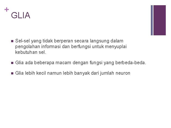 + GLIA n Sel-sel yang tidak berperan secara langsung dalam pengolahan informasi dan berfungsi