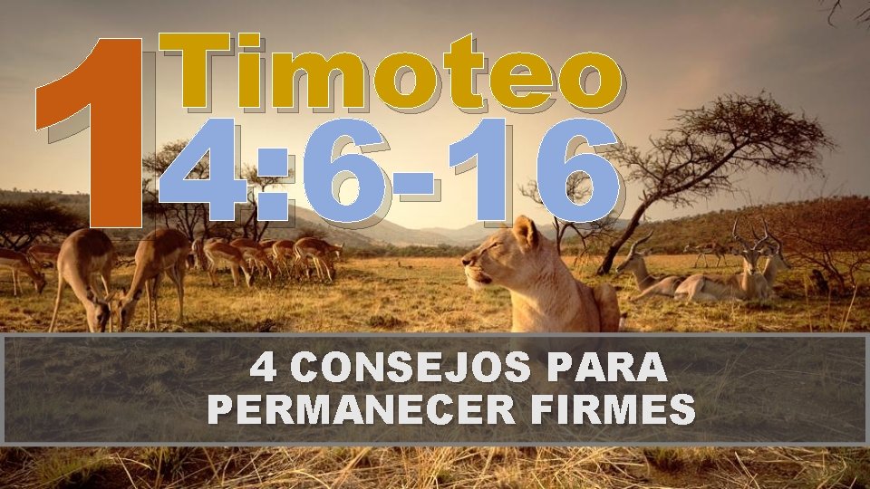 14: 6 -16 Timoteo 4 CONSEJOS PARA PERMANECER FIRMES 