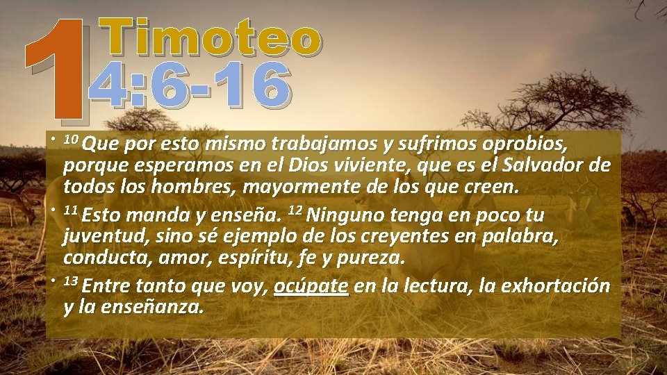 1 Timoteo 4: 6 -16 • 10 Que por esto mismo trabajamos y sufrimos