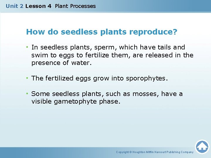 Unit 2 Lesson 4 Plant Processes How do seedless plants reproduce? • In seedless