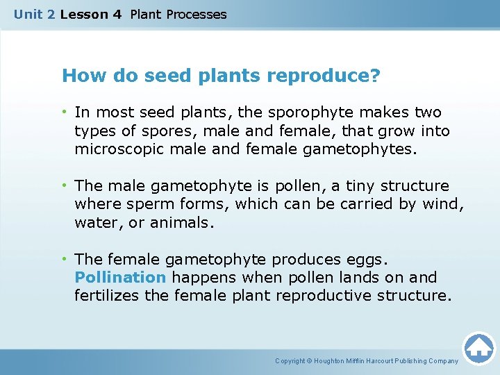 Unit 2 Lesson 4 Plant Processes How do seed plants reproduce? • In most