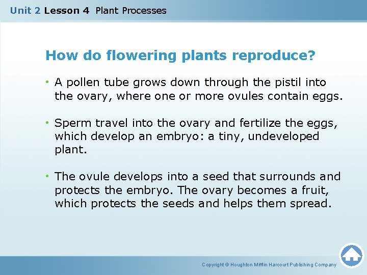 Unit 2 Lesson 4 Plant Processes How do flowering plants reproduce? • A pollen