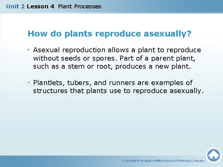 Unit 2 Lesson 4 Plant Processes How do plants reproduce asexually? • Asexual reproduction