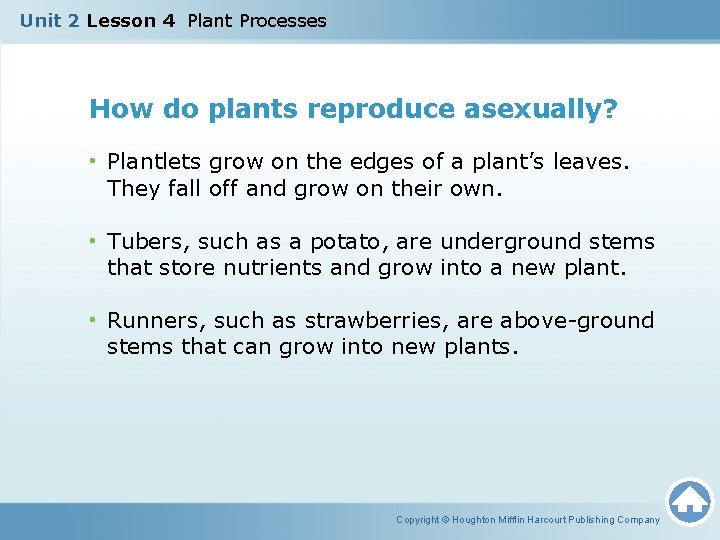 Unit 2 Lesson 4 Plant Processes How do plants reproduce asexually? • Plantlets grow