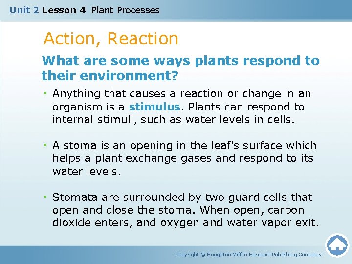 Unit 2 Lesson 4 Plant Processes Action, Reaction What are some ways plants respond