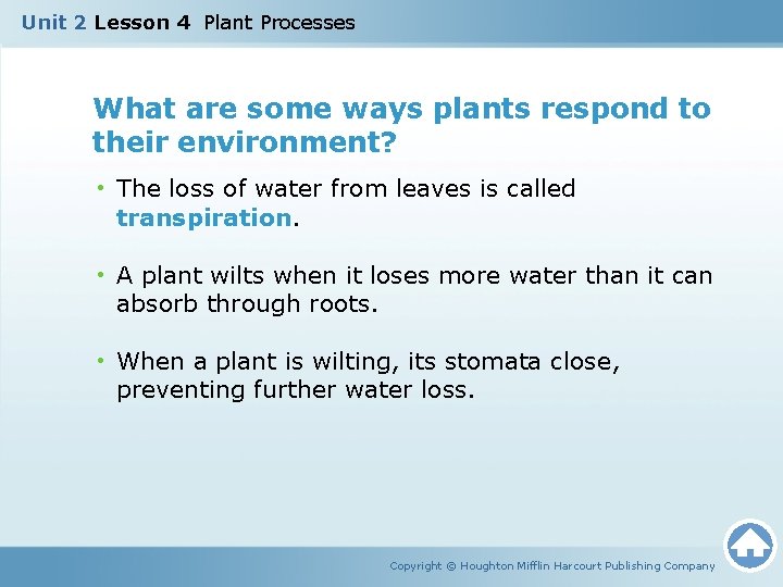 Unit 2 Lesson 4 Plant Processes What are some ways plants respond to their