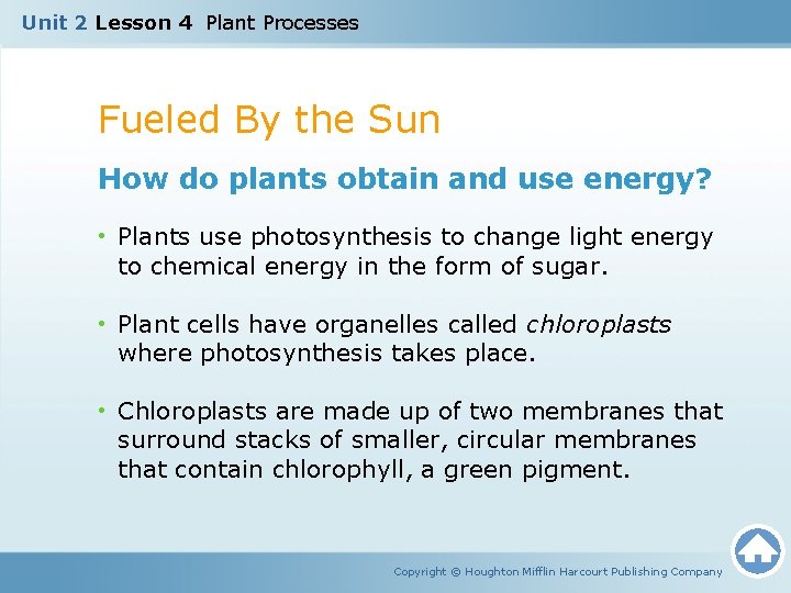 Unit 2 Lesson 4 Plant Processes Fueled By the Sun How do plants obtain