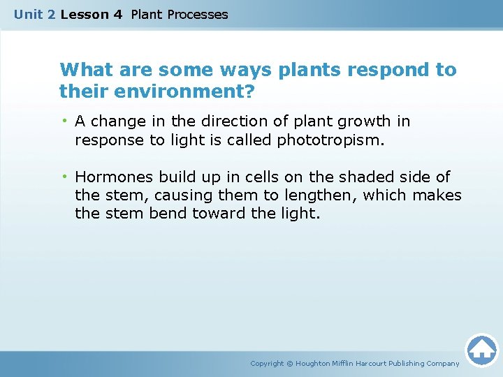 Unit 2 Lesson 4 Plant Processes What are some ways plants respond to their