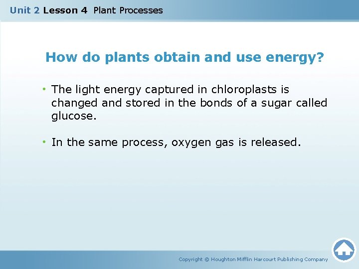 Unit 2 Lesson 4 Plant Processes How do plants obtain and use energy? •