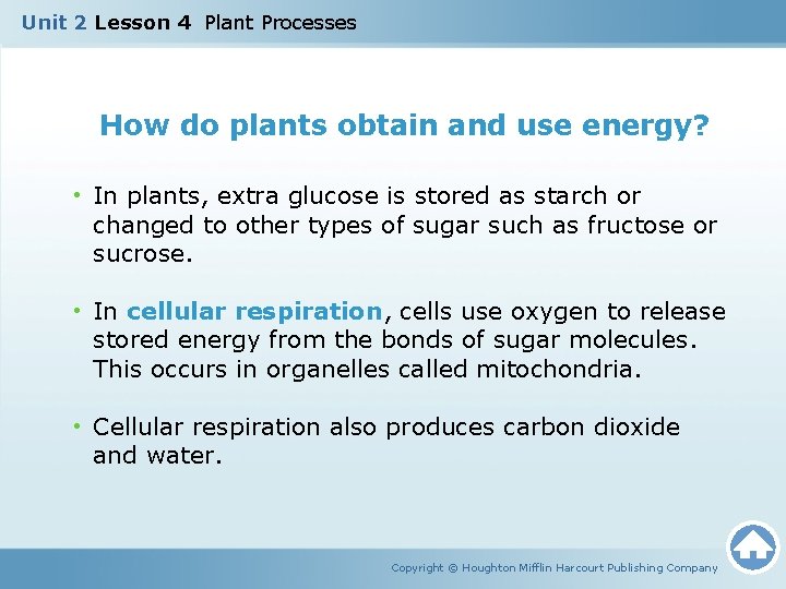 Unit 2 Lesson 4 Plant Processes How do plants obtain and use energy? •