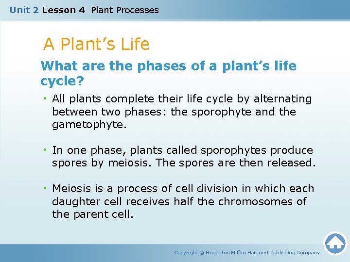 Unit 2 Lesson 4 Plant Processes A Plant’s Life What are the phases of