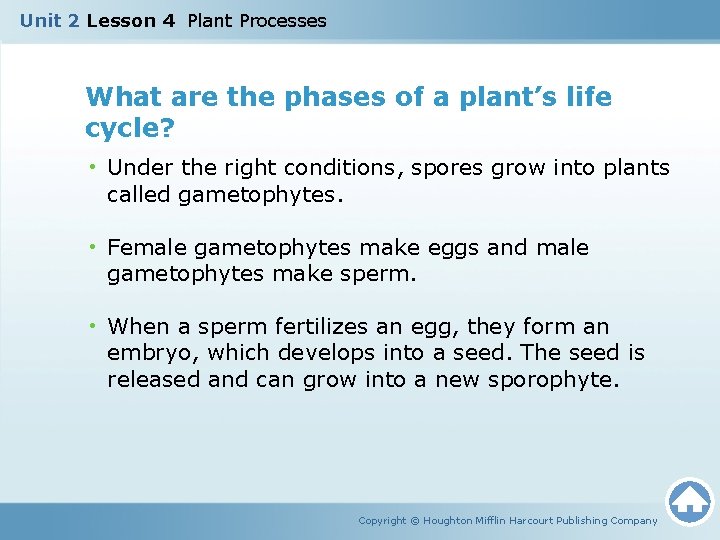Unit 2 Lesson 4 Plant Processes What are the phases of a plant’s life
