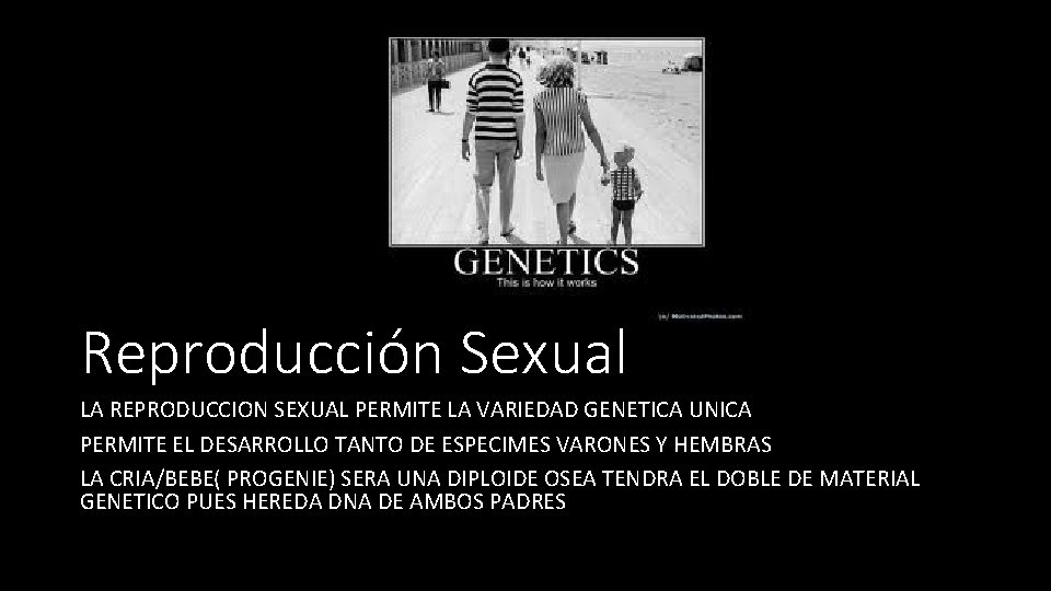 Reproducción Sexual LA REPRODUCCION SEXUAL PERMITE LA VARIEDAD GENETICA UNICA PERMITE EL DESARROLLO TANTO