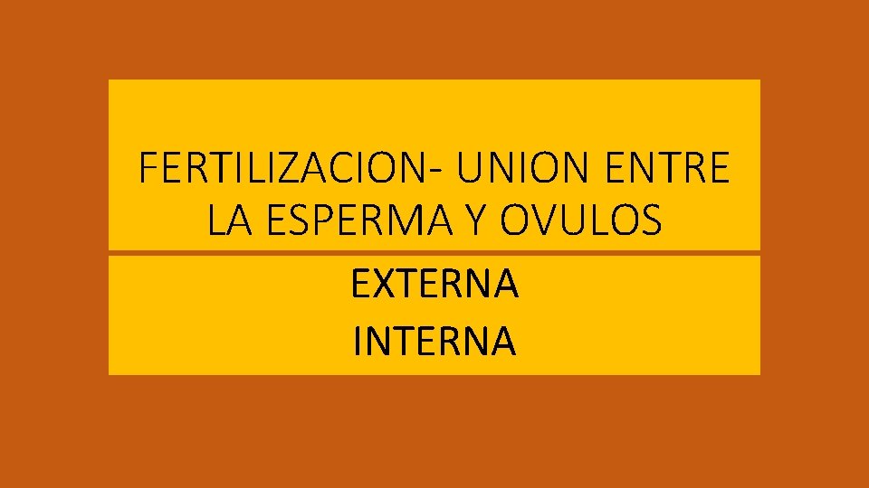 FERTILIZACION- UNION ENTRE LA ESPERMA Y OVULOS EXTERNA INTERNA 