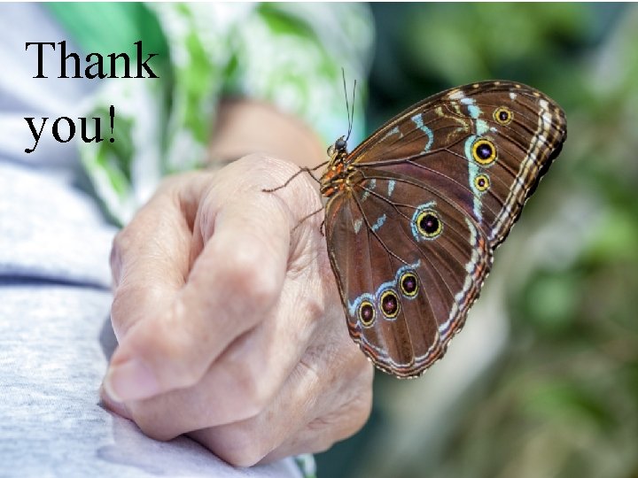 Thank you! Thank you!