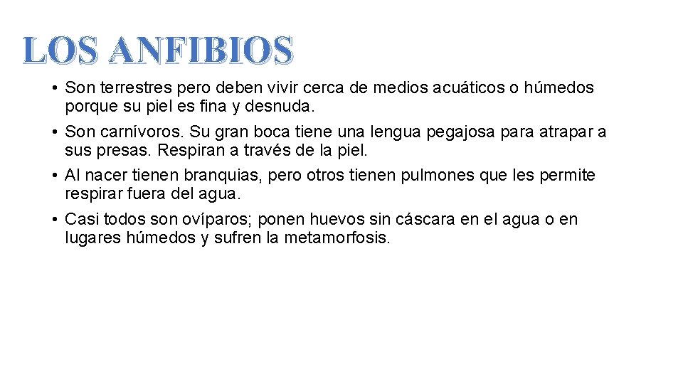 LOS ANFIBIOS • Son terrestres pero deben vivir cerca de medios acuáticos o húmedos