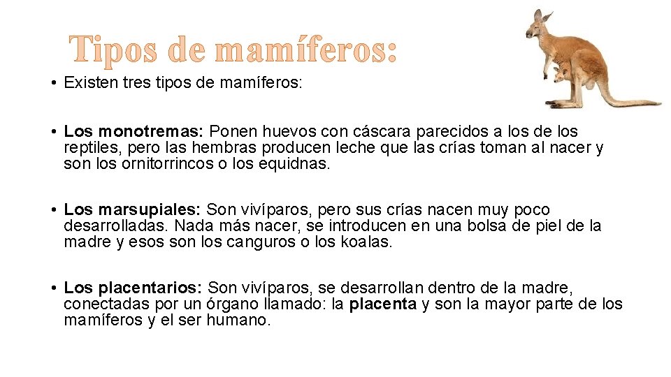 Tipos de mamíferos: • Existen tres tipos de mamíferos: • Los monotremas: Ponen huevos