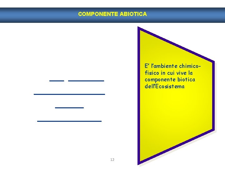 COMPONENTE ABIOTICA E’ l’ambiente chimicofisico in cui vive la componente biotica dell’Ecosistema __ __________