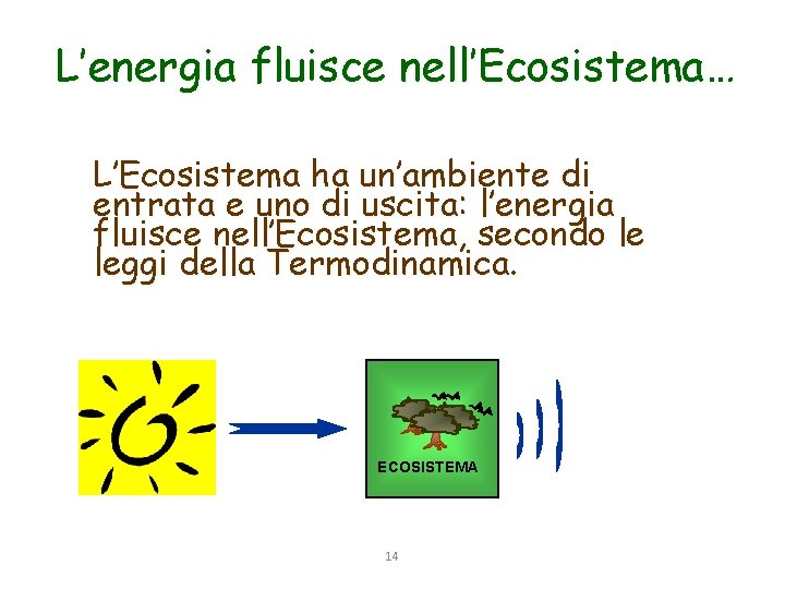 L’energia fluisce nell’Ecosistema… L’Ecosistema ha un’ambiente di entrata e uno di uscita: l’energia fluisce