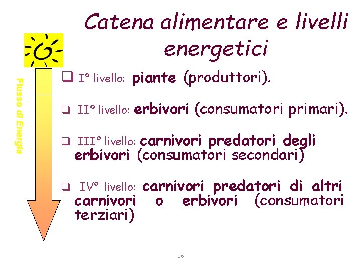 Catena alimentare e livelli energetici Flusso di Energia q I° livello: piante (produttori). q