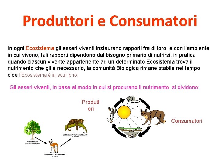 Produttori e Consumatori In ogni Ecosistema gli esseri viventi instaurano rapporti fra di loro