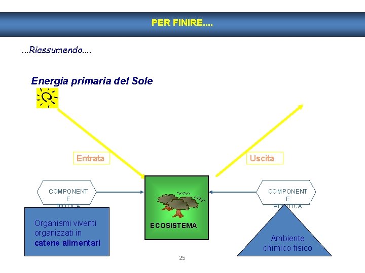PER FINIRE. . . . Riassumendo. . Energia primaria del Sole Entrata Uscita COMPONENT