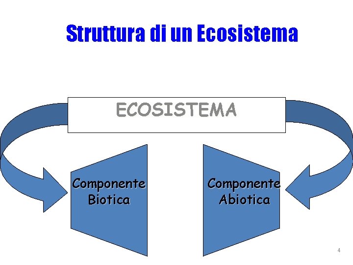 Struttura di un Ecosistema ECOSISTEMA Componente Biotica Componente Abiotica 4 