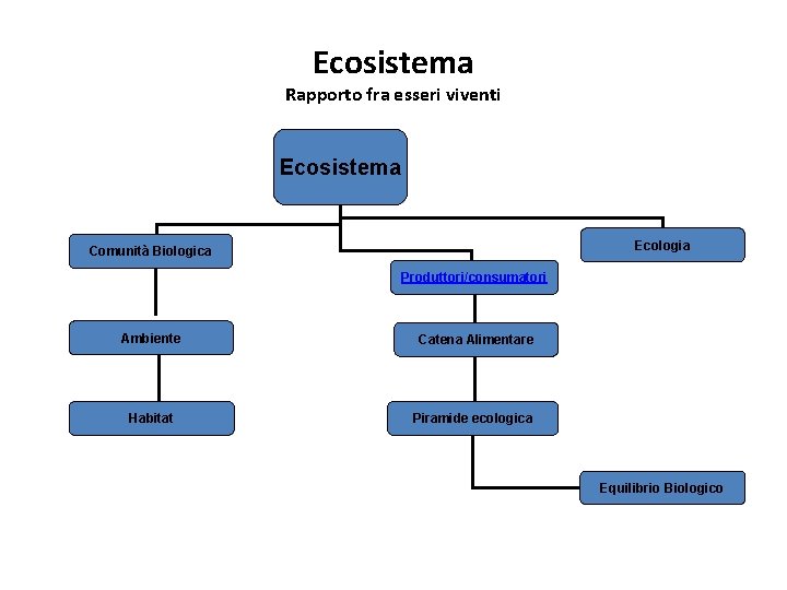 Ecosistema Rapporto fra esseri viventi Ecosistema Ecologia Comunità Biologica Produttori/consumatori Ambiente Catena Alimentare Habitat
