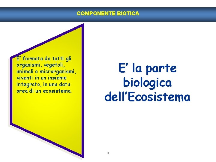 COMPONENTE BIOTICA E’ formata da tutti gli organismi, vegetali, animali o microrganismi, viventi in