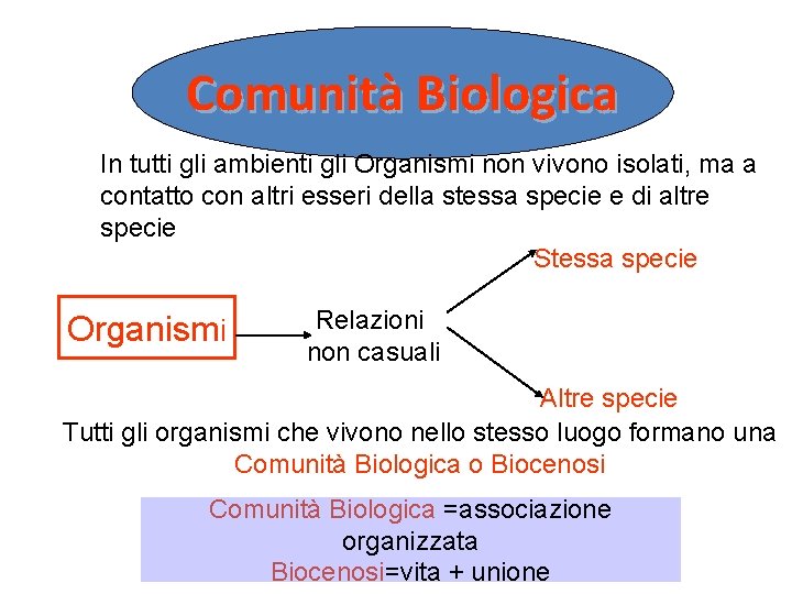Comunità Biologica In tutti gli ambienti gli Organismi non vivono isolati, ma a contatto