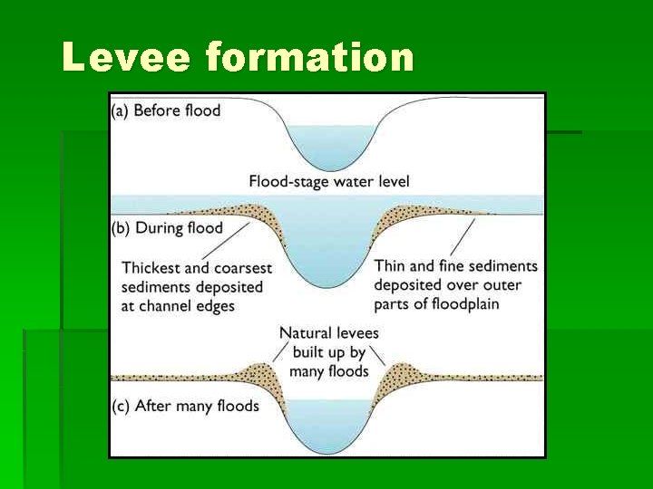 Levee formation 